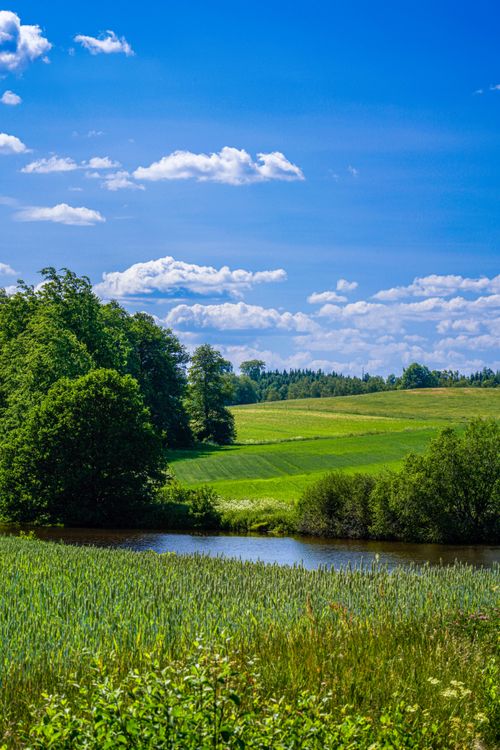 Free Idyllic rural scene with lush fields, trees, and a serene river under a clear blue sky. Stock Photo