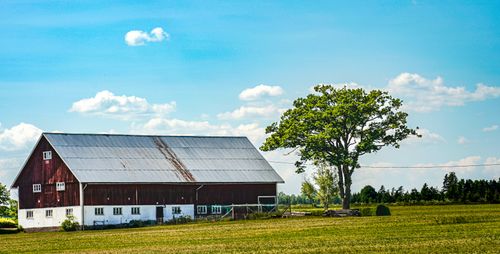 Free A red barn stands in a serene rural field under a bright blue sky. Stock Photo