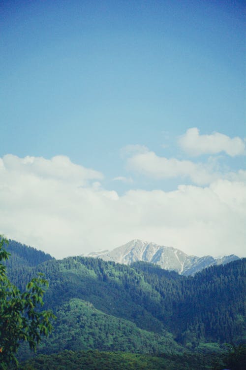 Immagine gratuita di colline, natura, paesaggio