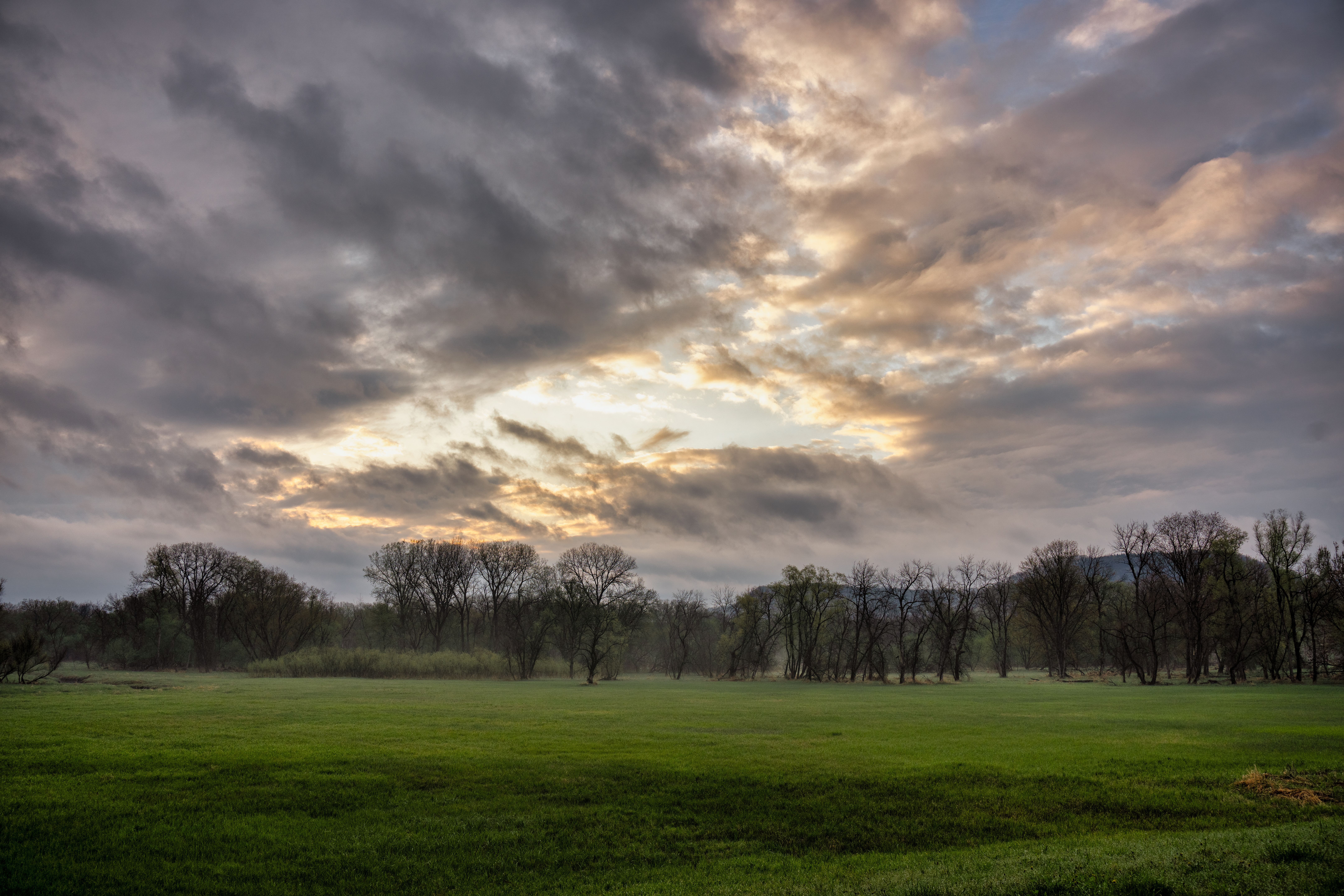 View of a Field · Free Stock Photo