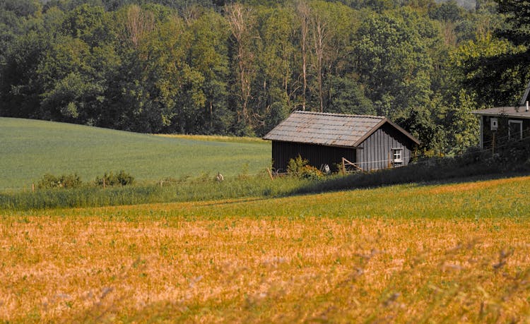 View Of A Field And A House 