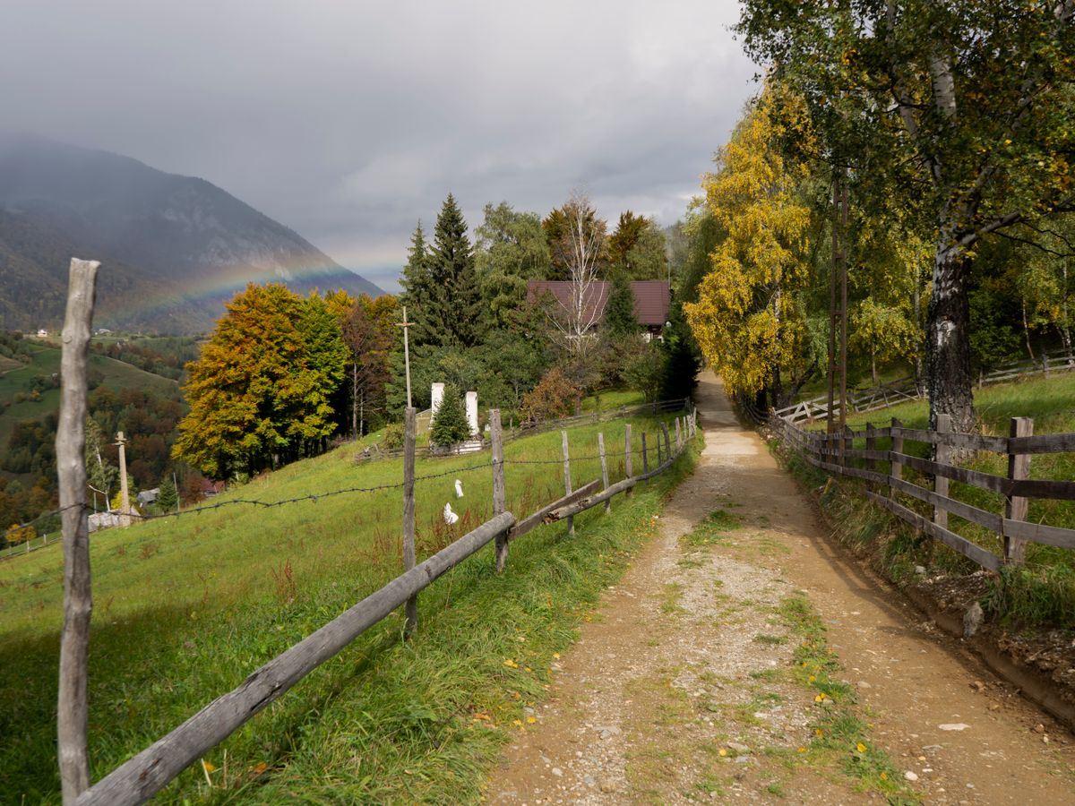 6 Day Raluca’s Mountain Sanctuary in Romania 3