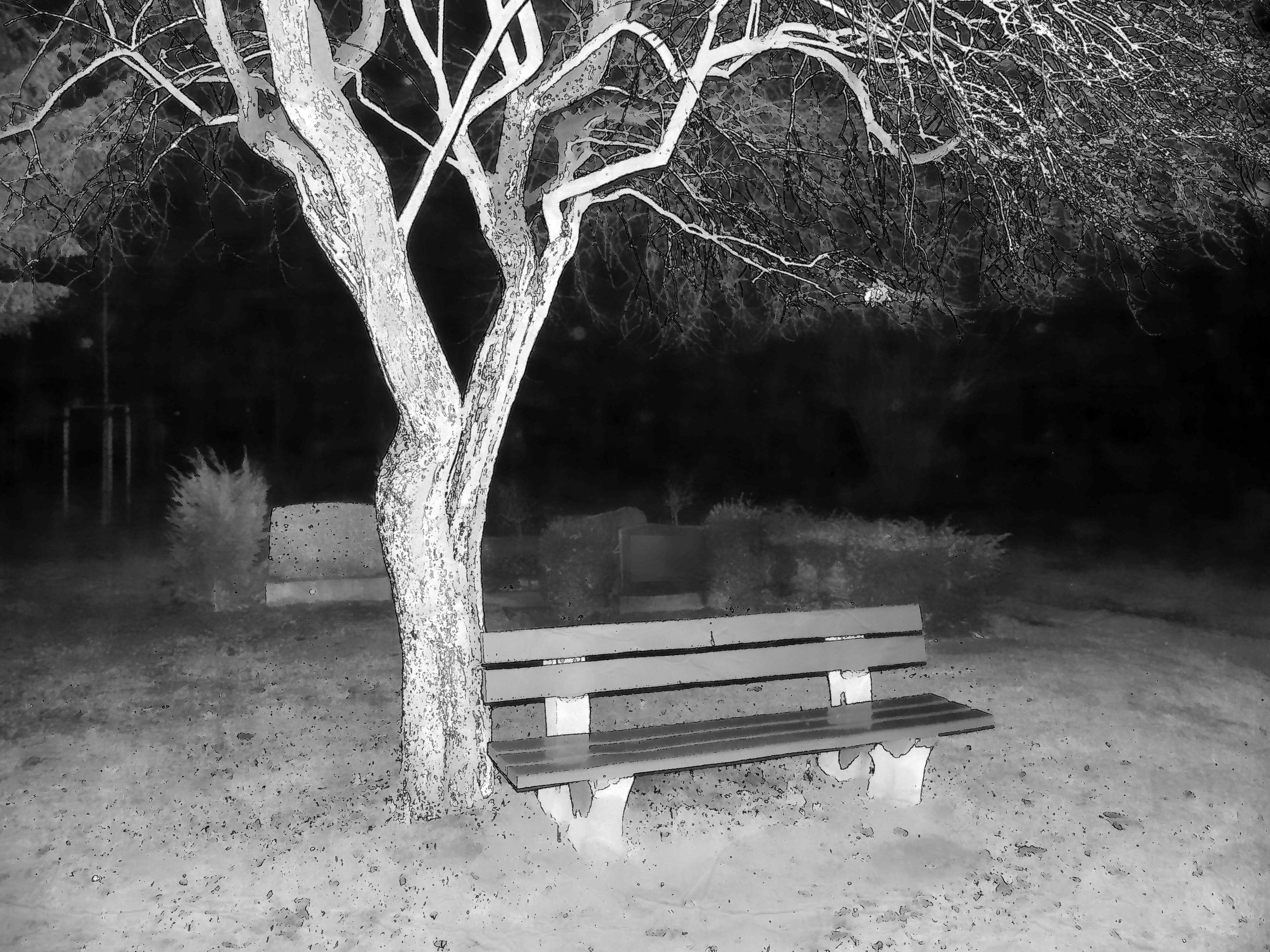Free stock photo of black&white, cemetery, creepy