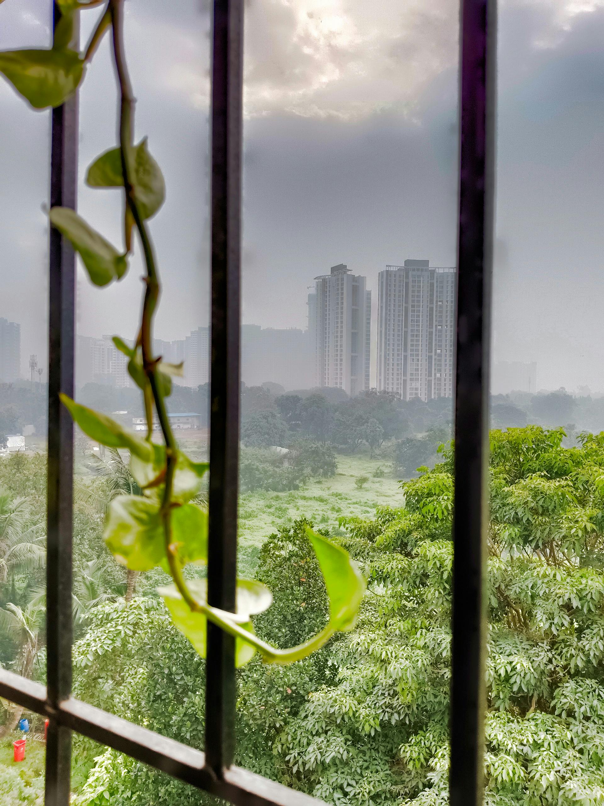 flashing Moment 写真