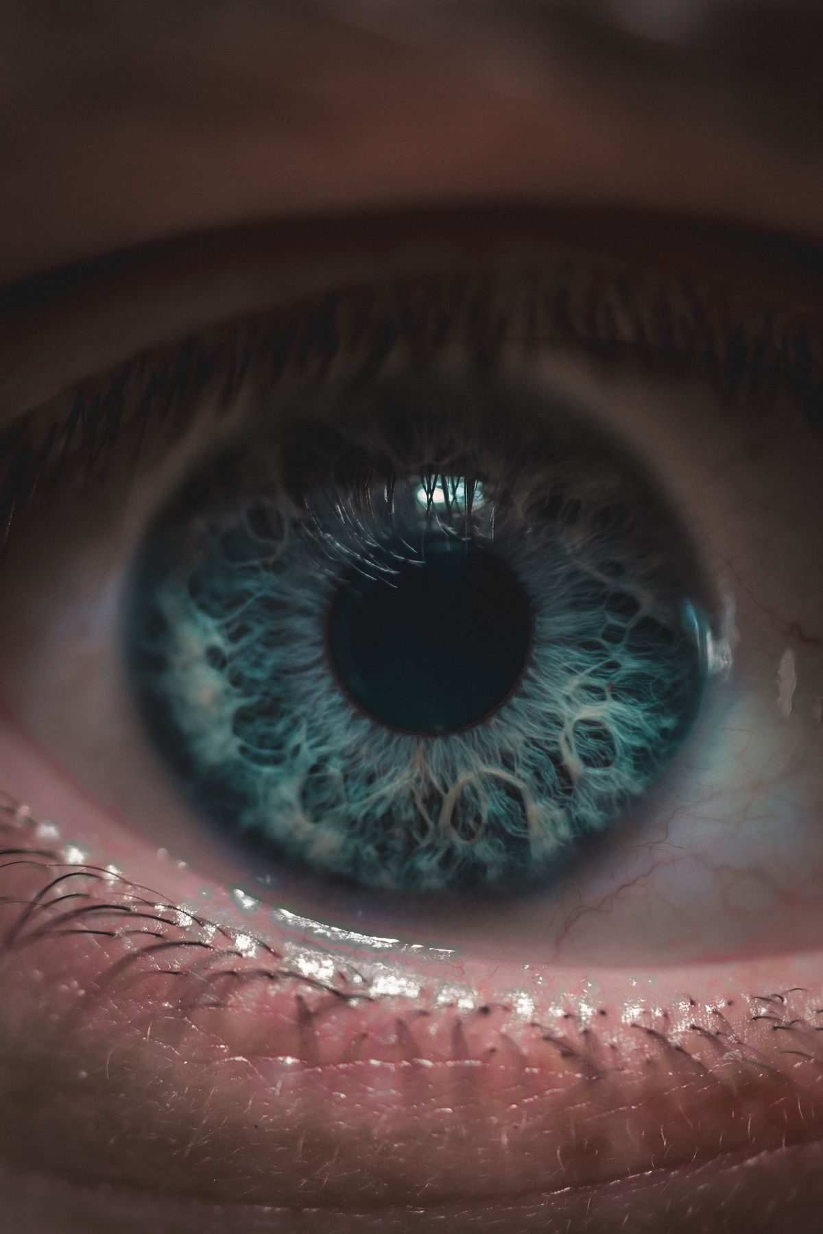 Iris editing preview