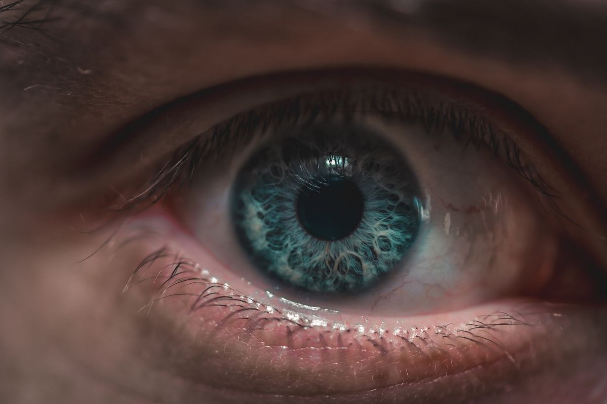 IA et perception visuelle : ce que les modèles ne voient pas