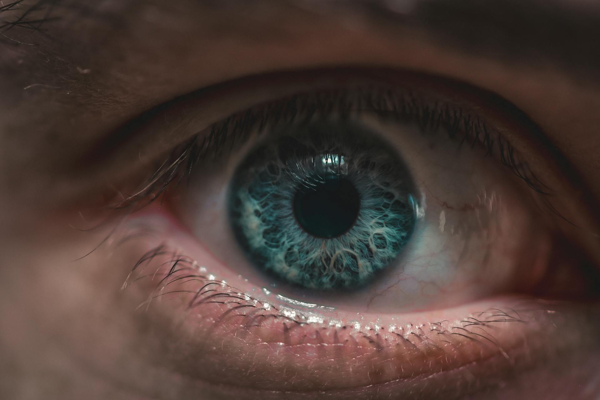 Close-up of a Human Eye