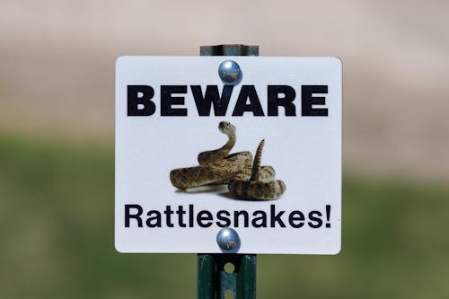 Beware of Rattlesnakes sign in the Badlands National Park during spring.  