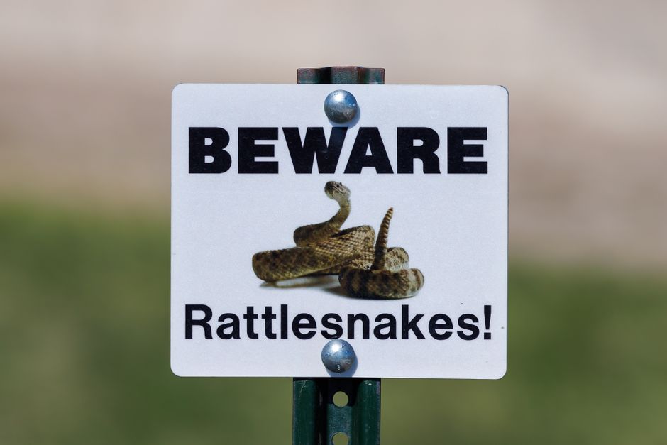 Beware of rattlesnakes sign posted in a grassy area, cautioning travelers.