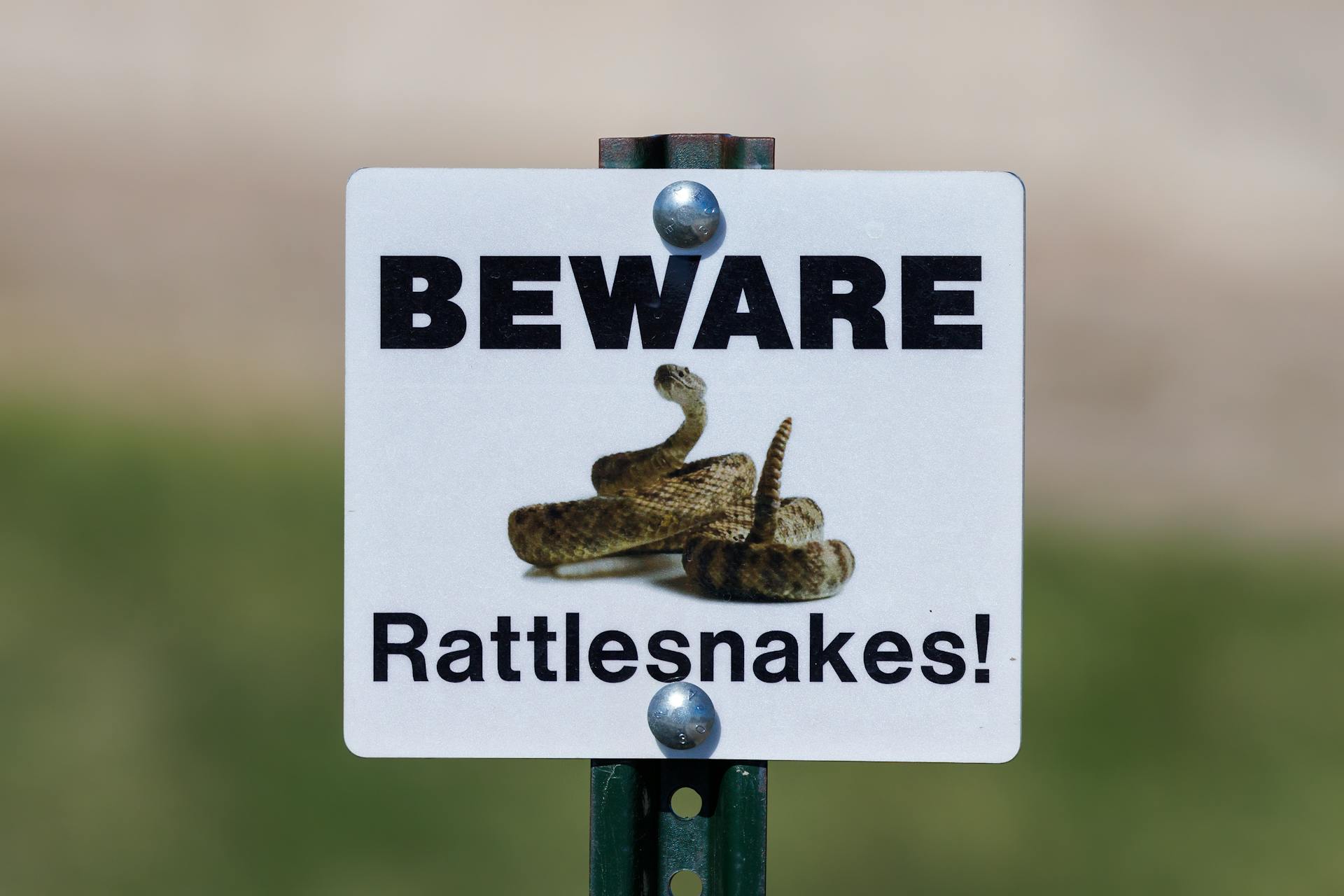 Beware of Rattlesnakes sign in the Badlands National Park during spring.