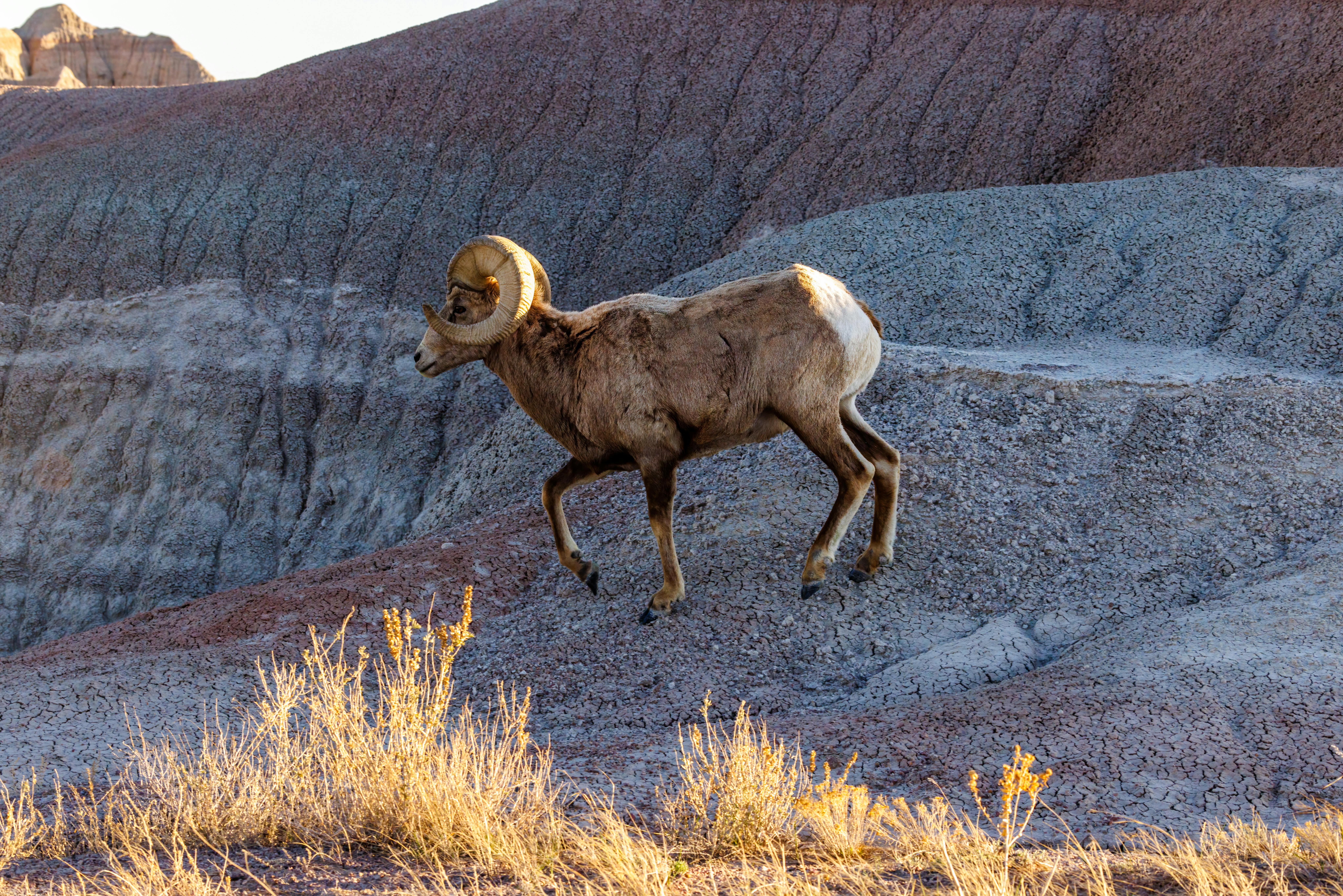 Big Horn Outdoor Adventure Show - Spokane and North Idaho community calendar - The Spokesman — Photo by Aaron J Hill on Pexel