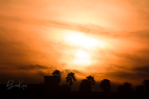 Základová fotografie zdarma na téma dramatická obloha, facepalm, oranžová obloha