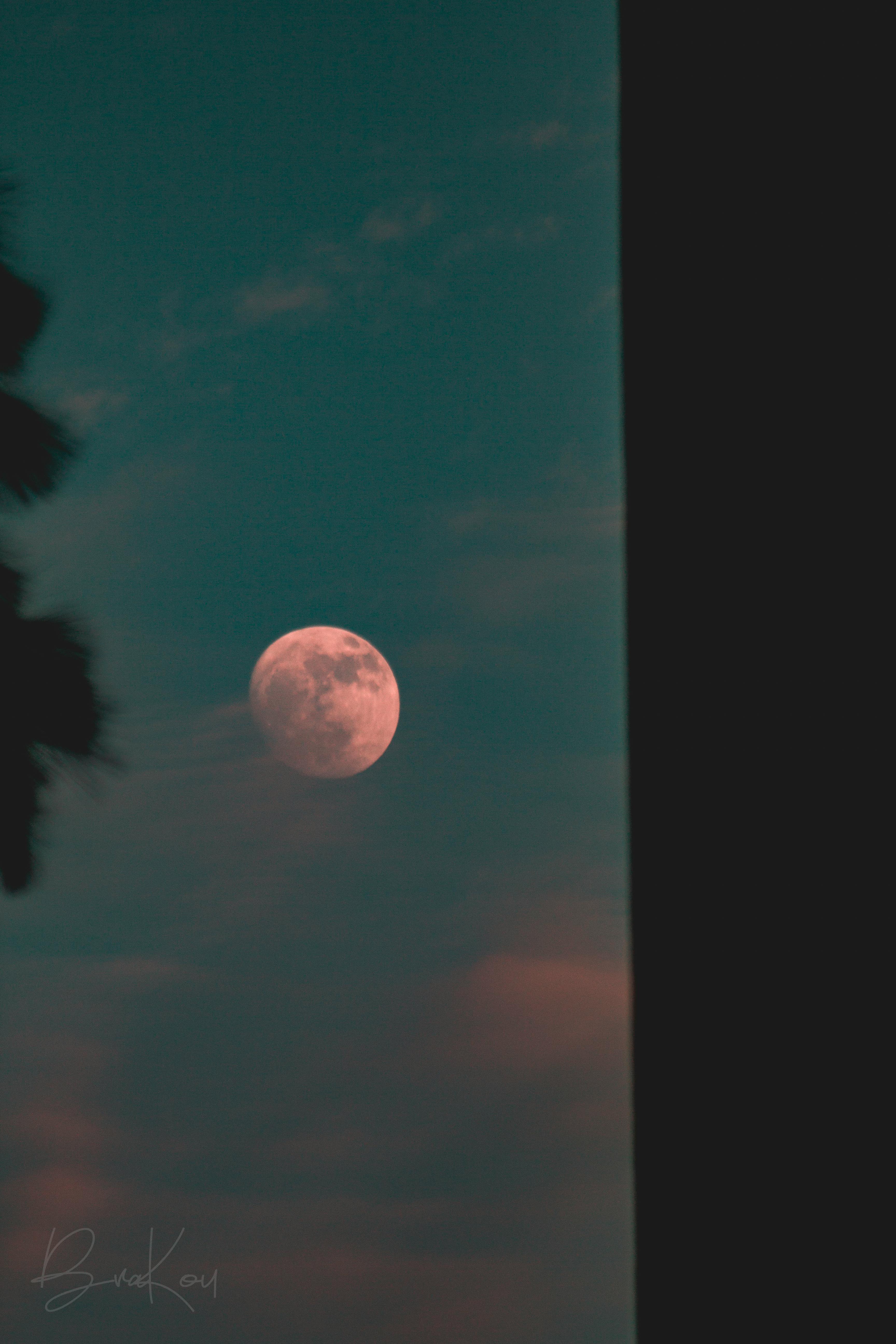 Free stock photo of blood moon, blue, crescent moon