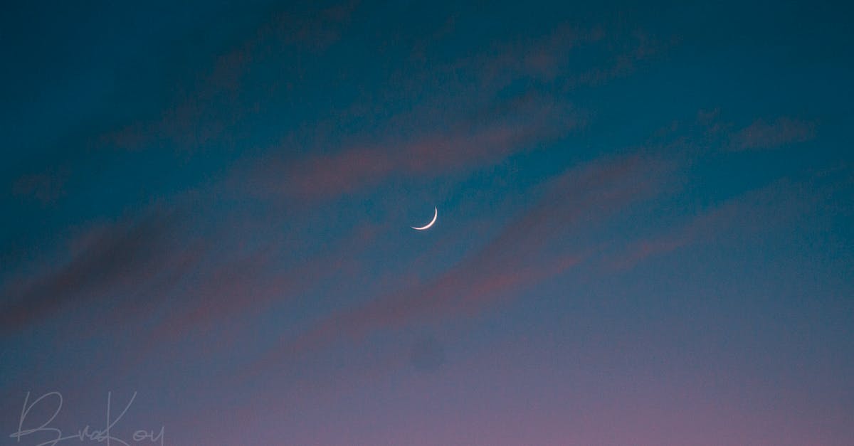 ピンク色 ブラッド ムーン 三日月の無料の写真素材