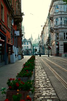 Cobblestone street in Lviv's old town featuring historic architecture and flowerbeds.