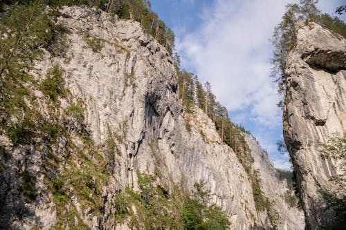 Gratis stockfoto met bergen, bomen, canyon