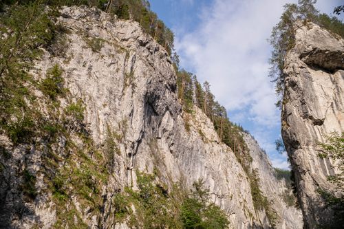 Free Striking view of a rocky canyon with lush greenery under a bright blue sky. Stock Photo