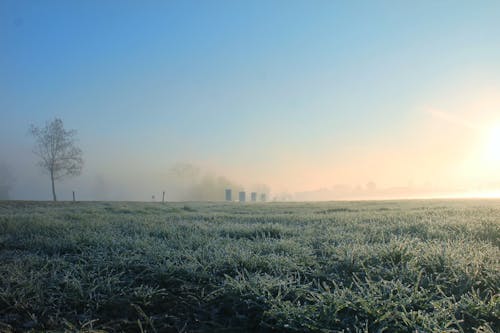 Misty Countryside Landscape with Grass Field Covered with Morning Dew