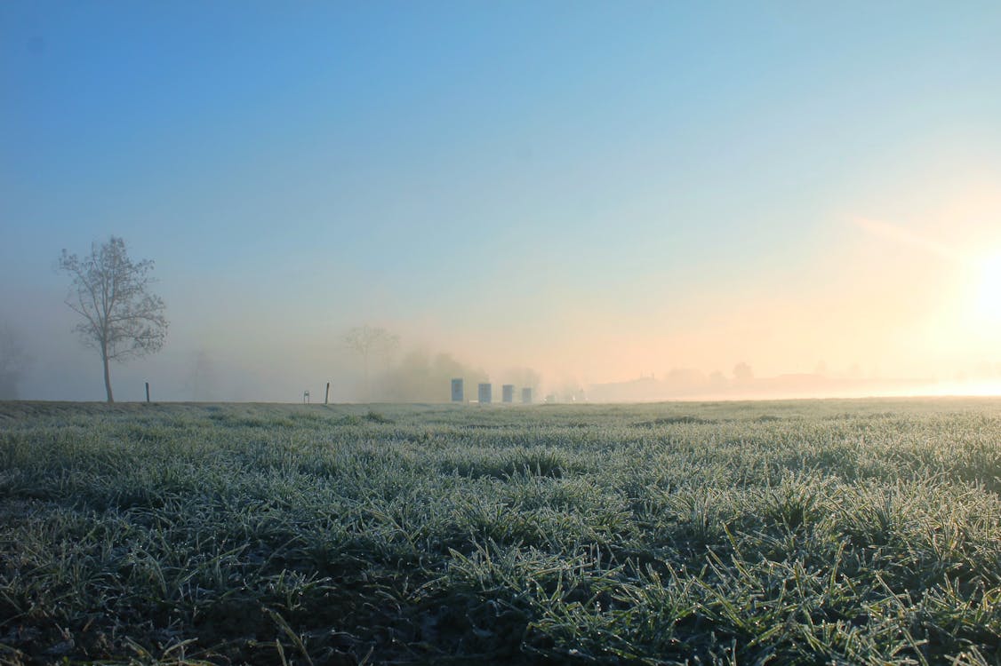 Foto profissional grátis de alvorecer, amanhecer, área