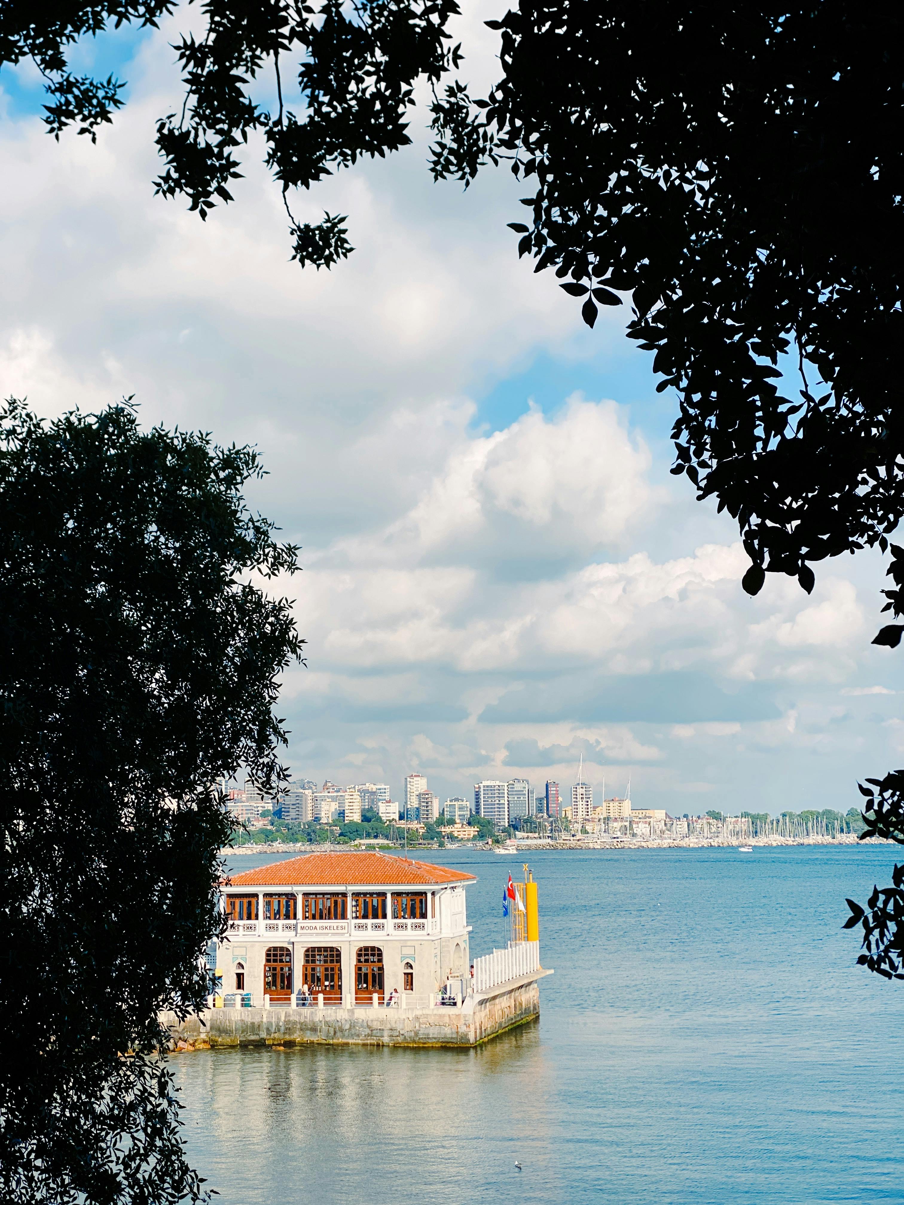 Free Scenic view of Moda Pier framed by trees, with İstanbul city skyline and the sea in the background. Stock Photo