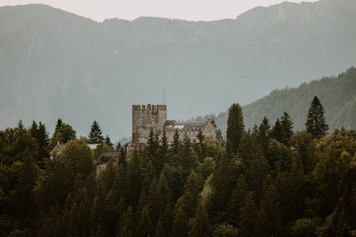 Foto stok gratis arsitektur abad pertengahan, arsitektur gothic, hutan