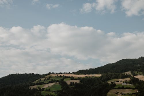 Landscape of Croplands and Trees on the Hill 