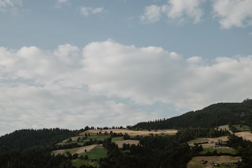 Photos gratuites de agriculture, arbres, campagne