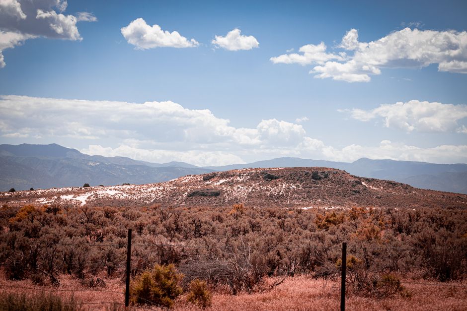 Wide view of a desert landscape with shrubs under a bright blue sky and billowy clouds.