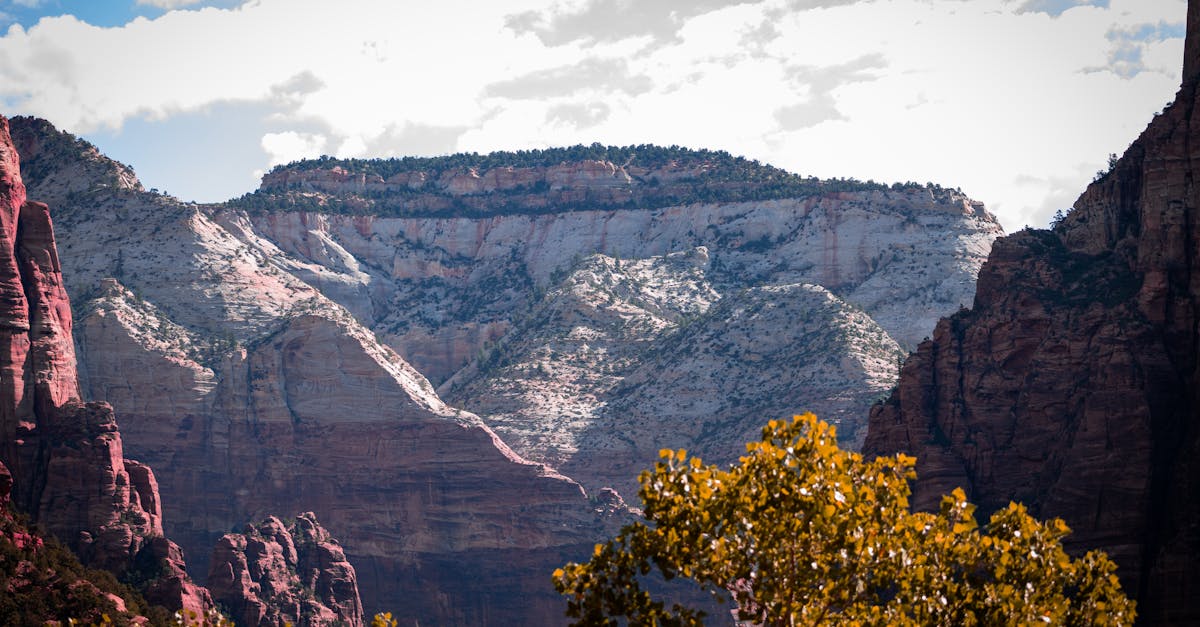 Red Rock Canyon National Conservation Area