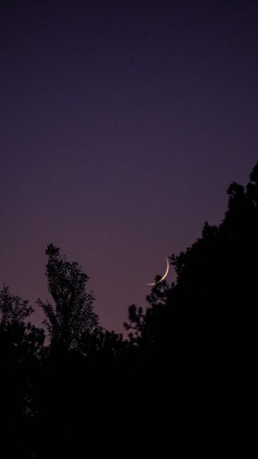 A crescent moon silhouetted against a twilight sky with tree outlines in Atlanta, GA.