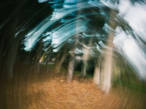 Free stock photo of abstract, art, blur