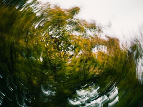 Free stock photo of abstract, art, beautiful