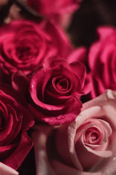 A stunning close-up of blooming red and pink roses with dew drops, showcasing natural beauty.