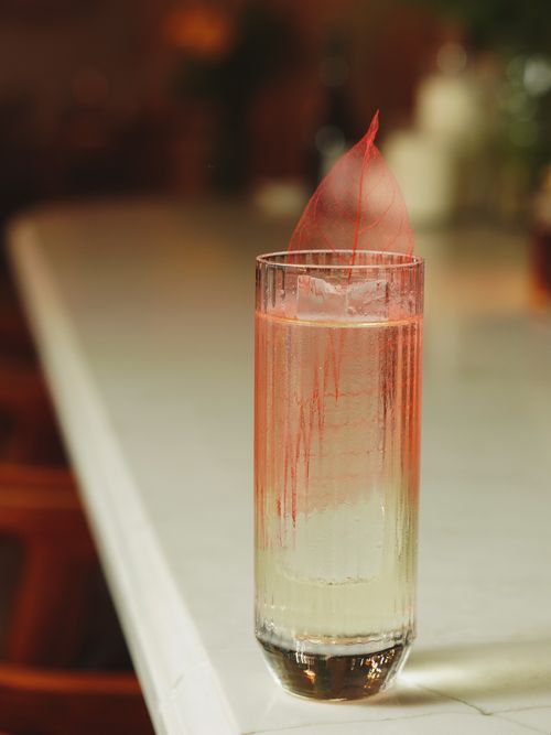Free Elegant cocktail in a glass with a decorative red leaf, set on a bar table. Stock Photo