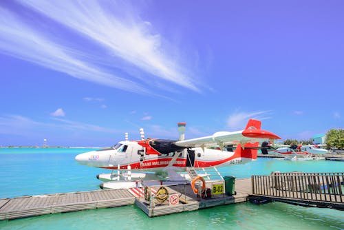 茶色のドックの横にある水域の白と赤の飛行機