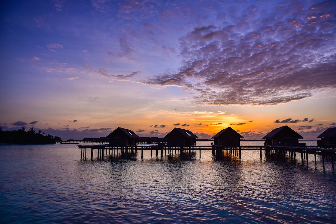 Silhouette of Houses on Sea during Golden Hour