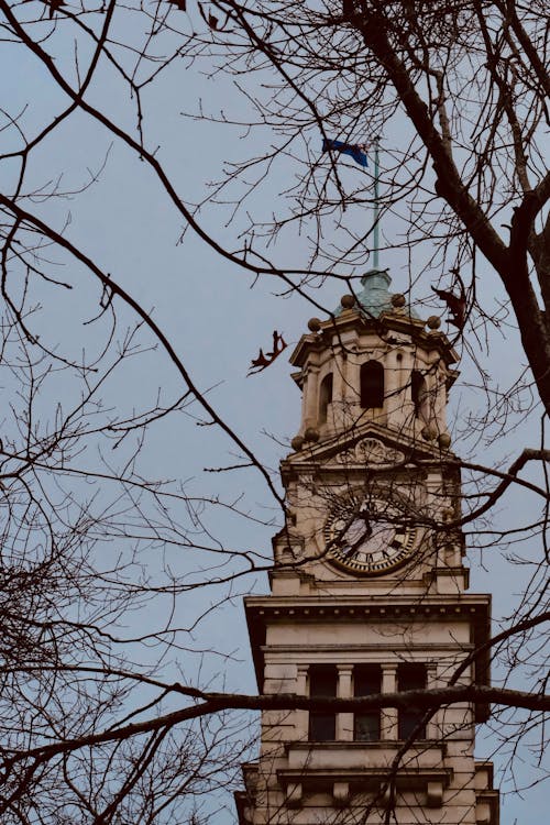 Foto d'estoc gratuïta de arbres, edifici, Església