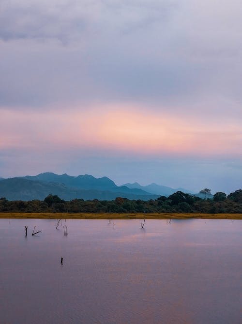 Ảnh lưu trữ miễn phí về @ngoài trời, bầu trời đêm, bầu trời tươi đẹp