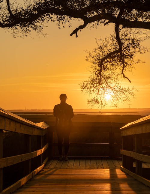Person Standing on Wooden Boardwalk at Sunset