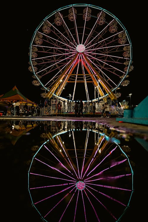 Ferris Wheel Reflection in Puddle at Night