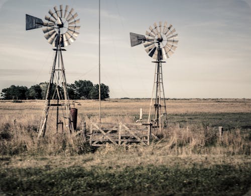 Old Windmills in Field