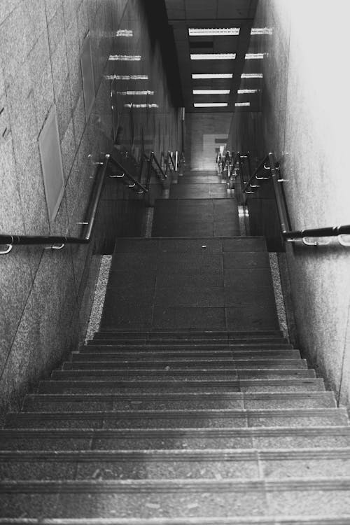 Empty Stairs in Black and White