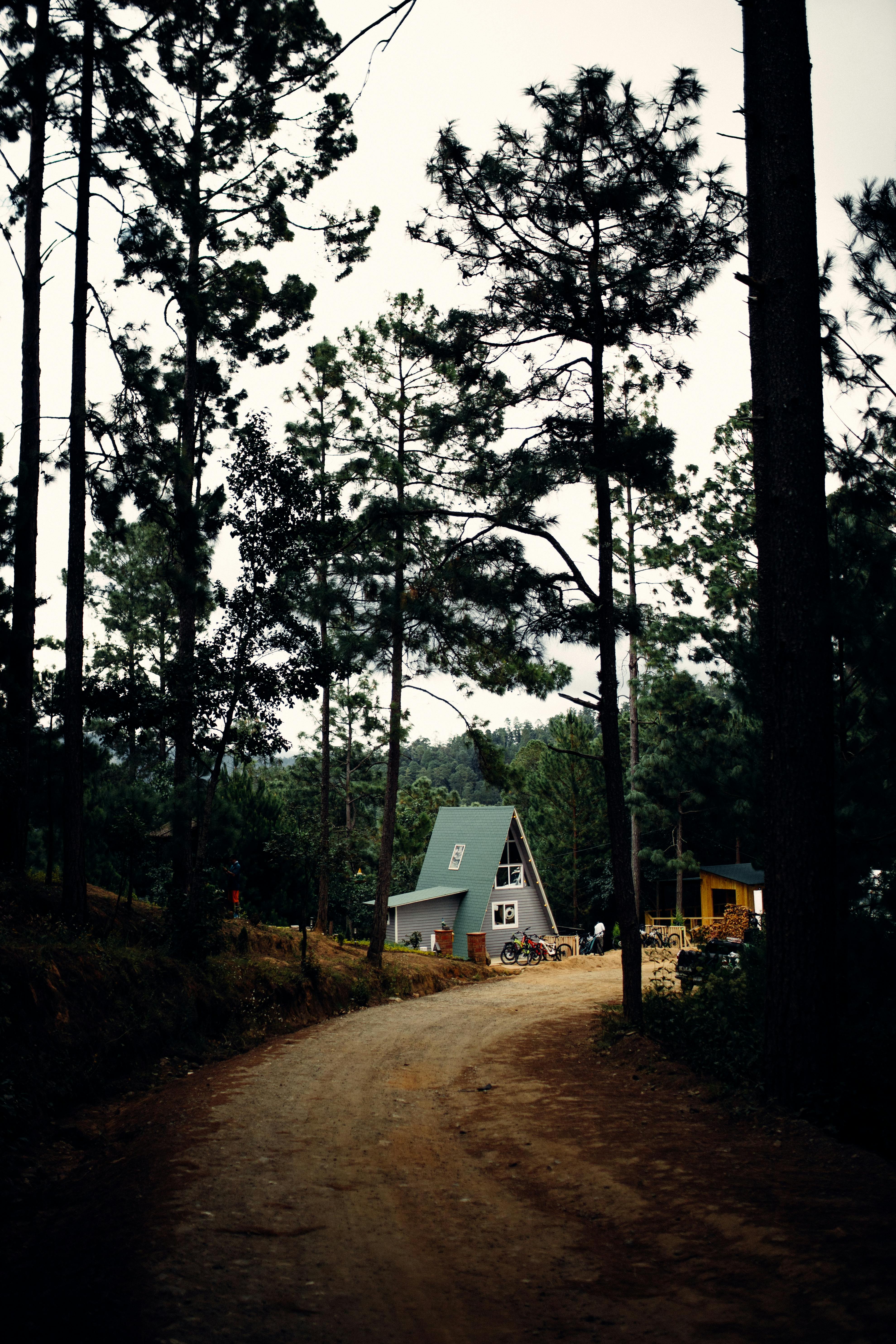 A scenic view of an A-frame cabin nestled in a lush forest along a winding dirt path in San Mateo Río Hondo, Oaxaca, Mexico.