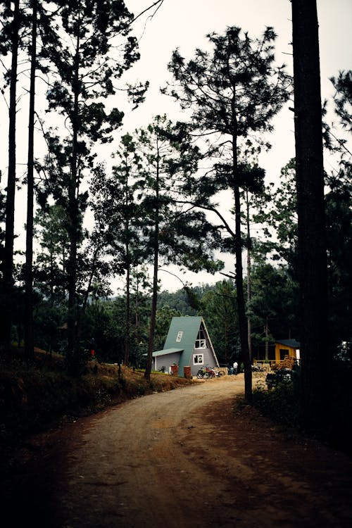 A Hut with Triangle Roof by the Road in a Forest 