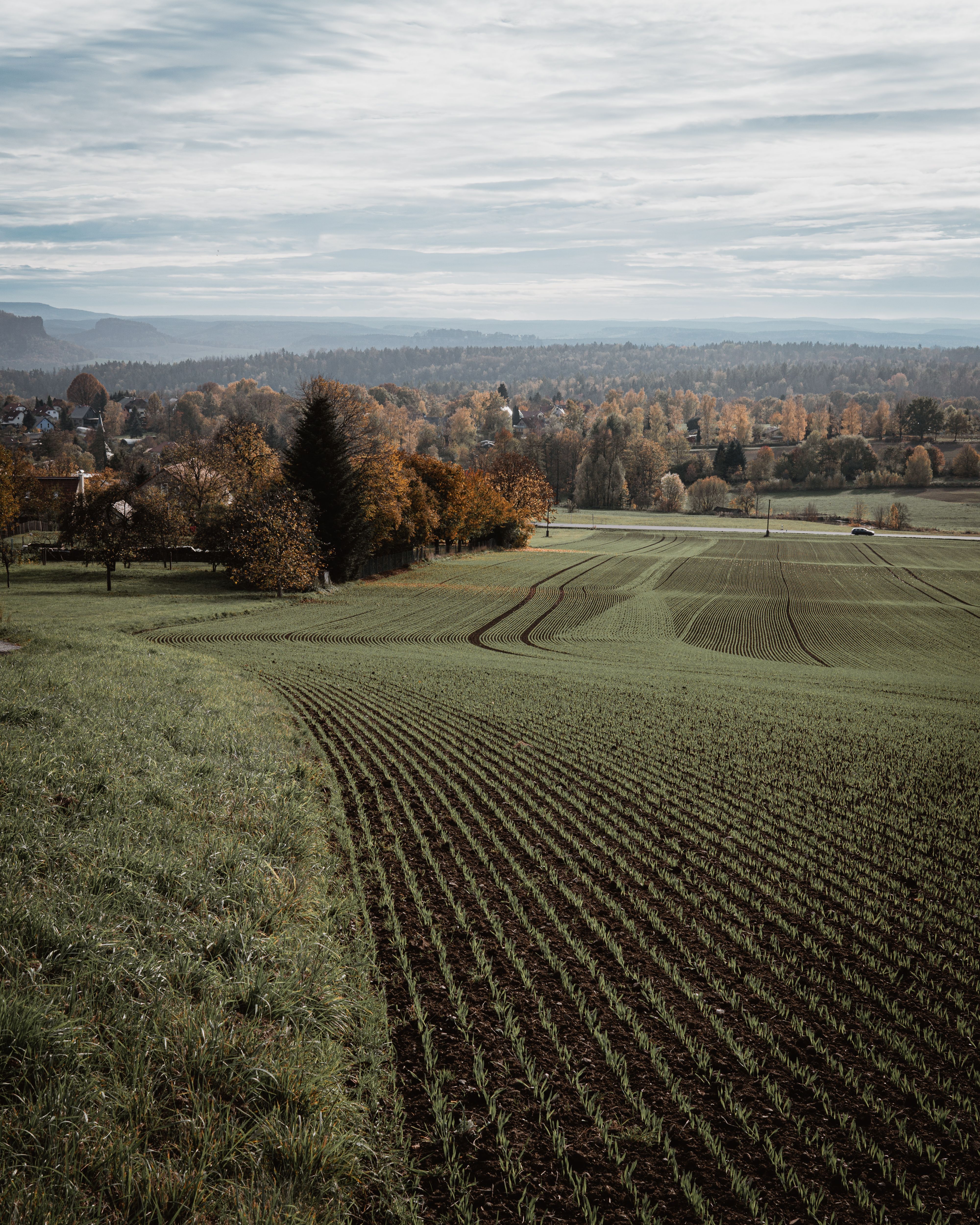Green Field in Countryside · Free Stock Photo