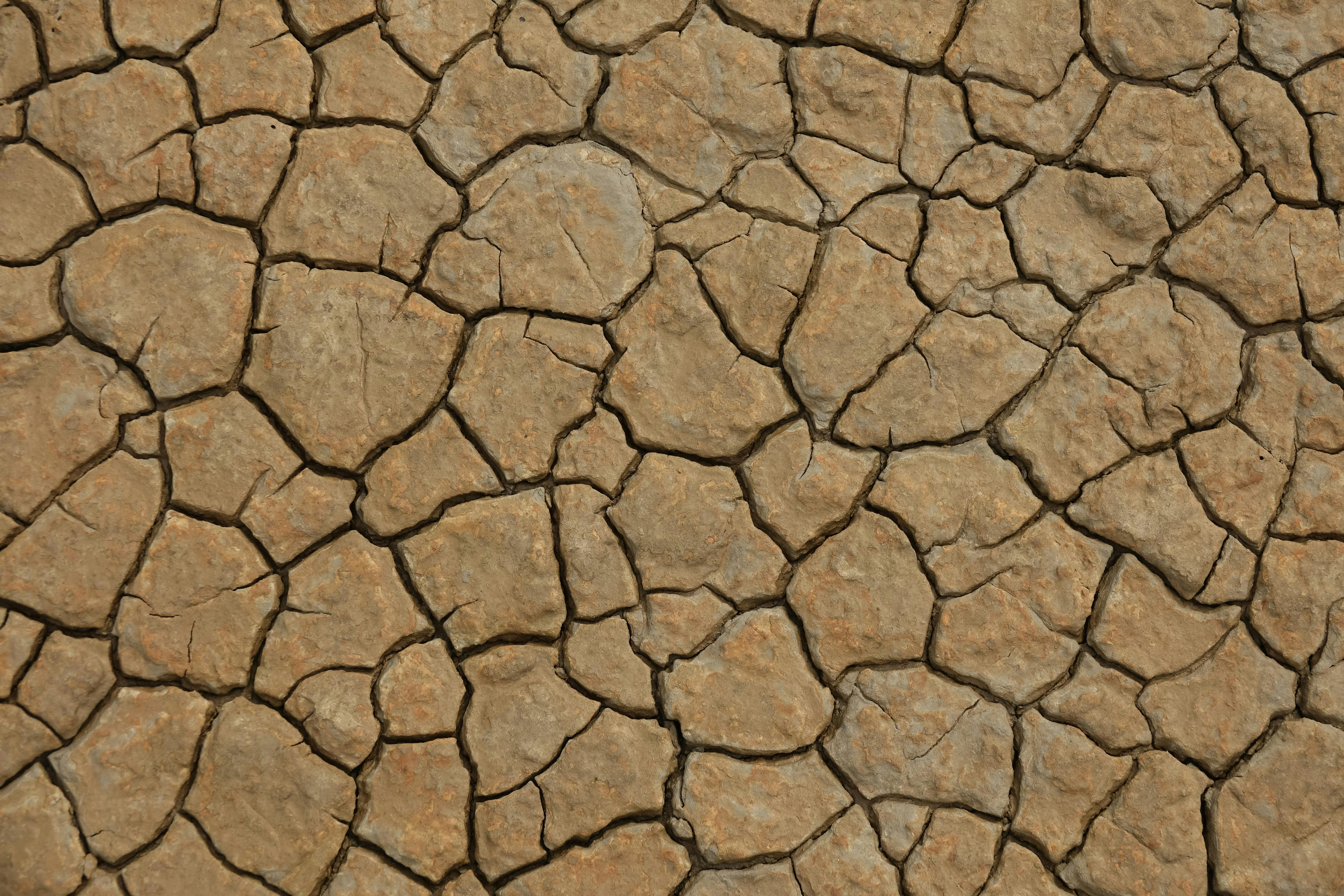 climate resilience drought mitigation — Photo by Adrien Stachowiak on Pexels