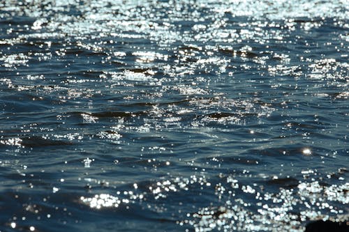 Immagine gratuita di luce del sole, mare, oceano