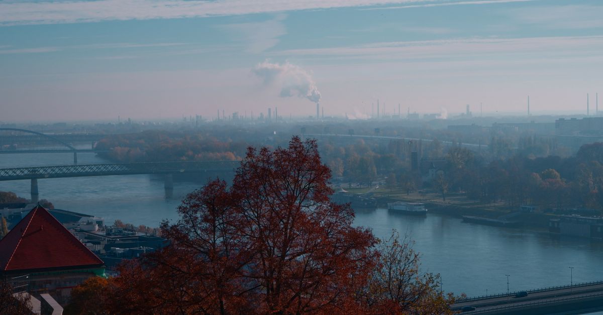 Principe pollueur-payeur : comment il s’applique concrètement en droit et économie