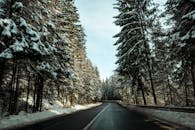 冬日宁静，蜿蜒的道路穿过白雪覆盖的森林，捕捉到了季节的静谧之美