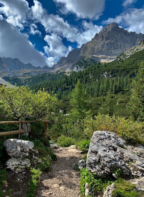 Základová fotografie zdarma na téma borovice, hory, kameny